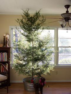 No Over-Commercialization Here!